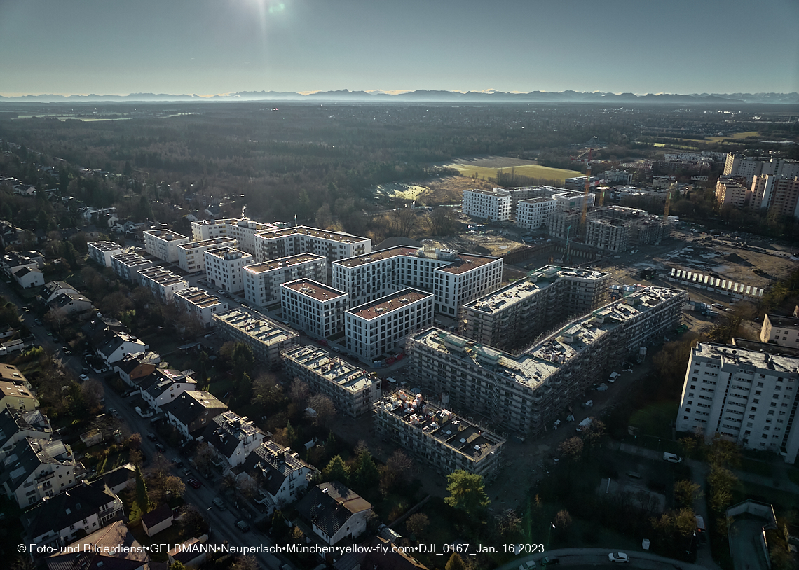 16.01.2023 - Alexisquartier und Pandion Verde